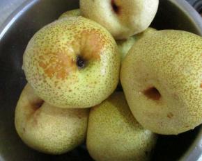 这次熬梨膏是用的砀山梨，清水洗净。这个梨刚刚上市，果农手中买的，比那种加了保鲜剂的保鲜梨要好。