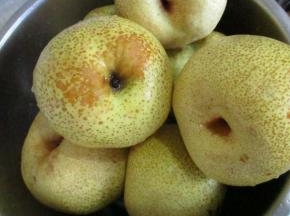 这次熬梨膏是用的砀山梨，清水洗净。这个梨刚刚上市，果农手中买的，比那种加了保鲜剂的保鲜梨要好。