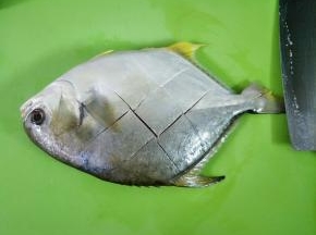 金鲳鱼宰杀处理干净，两面划十字花刀
