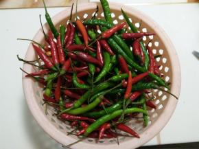 青红辣椒洗净晾干。