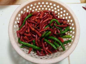 晾干的辣椒去蒂。