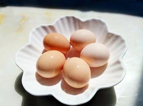 准备笨鸡蛋。