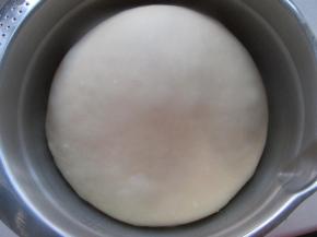 发酵成2倍大即可拿出操作。