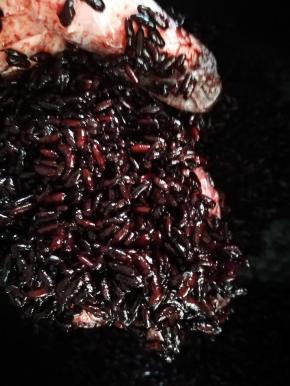 凉到不烫手，摸起来又有温度，可以操作了，一定不能温度过高，会烫死酒曲，发酵米酒的最佳温度是30度，经常做面包的有温度计，量量更好。粘点水将黑米打散，方便拌入酒曲