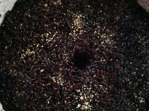 拌好后，将黑米放入消过毒的无水无油容器，我用的砂锅，保温效果好，也可以用合适大小的搪瓷锅，也非常好用！