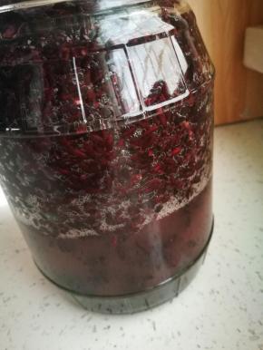 我的第3天就好了，为了方便观看，我把米酒取出来放入了一个消好毒的玻璃瓶中