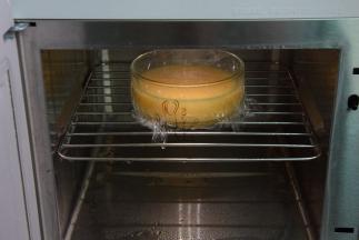 放入蒸炉蒸10分钟