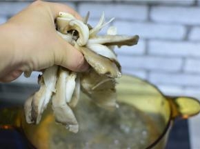 锅中水开，把蘑菇煮两分钟