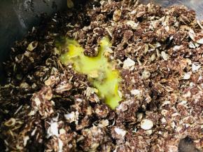 试面团黏稠度加入适量蛋液，使面团变得有粘性可以塑形