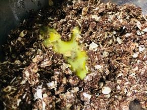 试面团黏稠度加入适量蛋液，使面团变得有粘性可以塑形