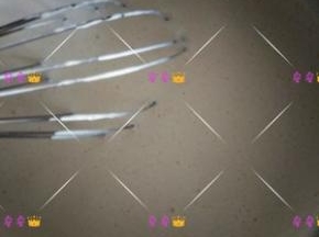 200ml牛奶加入混合好粉类的蛋黄糊中；低速用电动打蛋器搅拌融合；