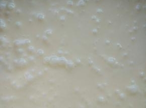 加入牛奶，打蛋器低速搅拌融合；