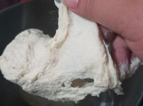 加入软化的黄油继续揉10分钟至出膜，可以拉出厚而富有弹性的膜