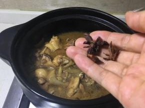 把鸡肉倒入到砂锅里，再加入少许白糖提鲜，八角也加入。