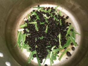 把平底锅里的豆豉和油一起倒进高压锅里。