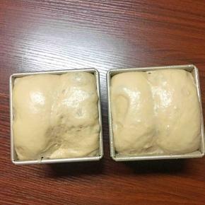 放在温度37度左右湿度75%的环境下发酵至满模（图中，我是发得有点儿过了呵，一不留神发过了点儿）