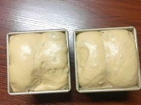 放在温度37度左右湿度75%的环境下发酵至满模（图中，我是发得有点儿过了呵，一不留神发过了点儿）