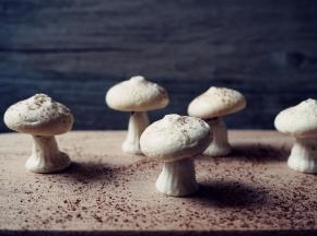 可以在表面撒点可可粉，不撒也是可以哒