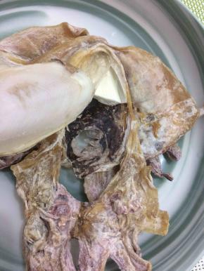 墨鱼先去掉里面的白核