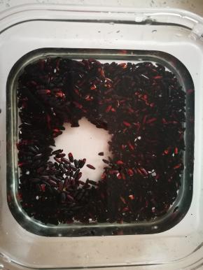 黑米冲洗一次，加水浸泡一晚