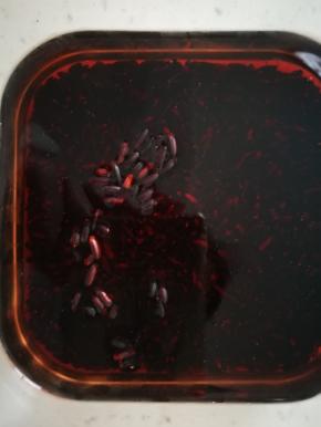 第二天，泡好的黑米