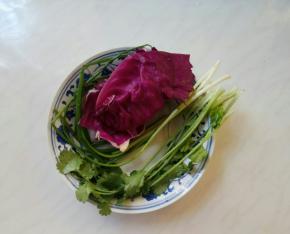香葱、香菜、紫甘蓝。
