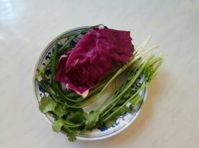 香葱、香菜、紫甘蓝。