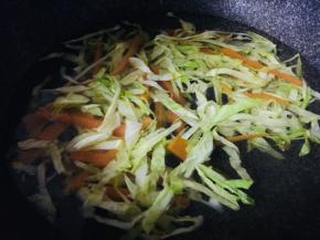 锅中加入清水煮开，倒入胡萝卜丝和包菜