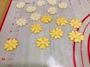 压好的花朵