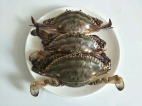 我买的梭子蟹，也可以换其他种类的蟹