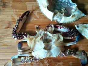 把梭子蟹里里外外处理干净