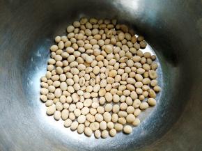 黄豆放入盆中，用水浸泡一晚