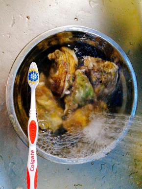 牡蛎用刷子清洗