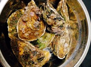 洗净备用