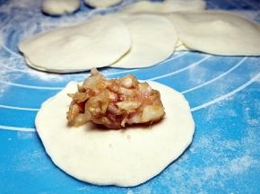 取适量肉馅放入中间。
