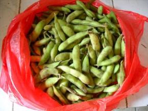 准备好新鲜毛豆。