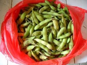 准备好新鲜毛豆。