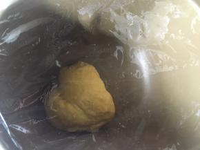 揉到出粗膜保鲜膜盖着发酵