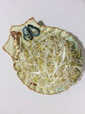 绿豆芽清洗干净备用！