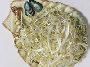绿豆芽清洗干净备用！