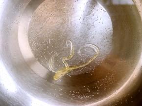 滴一滴糖浆在水里，能够马上凝固成硬的糖块，用手掰一下，就能清脆的断裂成两半，这样的糖浆就是熬好的