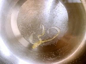 滴一滴糖浆在水里，能够马上凝固成硬的糖块，用手掰一下，就能清脆的断裂成两半，这样的糖浆就是熬好的