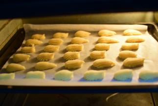 210度烤20分钟，定型后转175度。烤15分钟左右