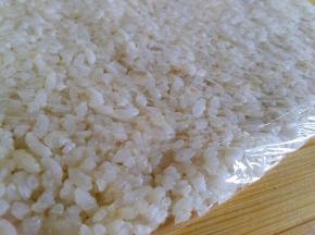 搅拌好的米饭包保鲜膜擀成薄片入冰箱冷冻30分钟左右