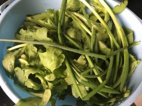 茼蒿洗干净