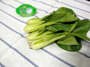 小青菜洗净