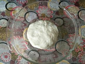 中种面团材料全部混合揉成团，看不见酵母即可，不用特别光滑。盖住保鲜膜室温发酵两三倍大，或者冰箱冷藏发酵15-17个小时