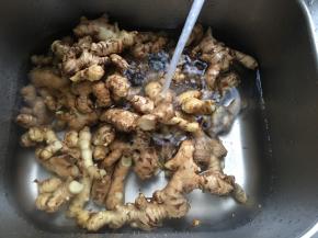 姜用水冲洗一下泥巴，都是很小块的，特别好洗，用小刷子可以刷的更干净哟