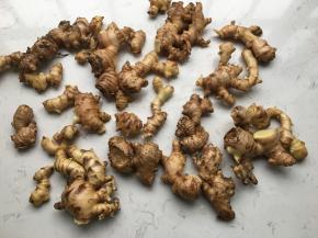 洗好的姜放阳台晾晒一下水份，稍微晒个一两天的太阳也没有关系，稍微有一点点的焉