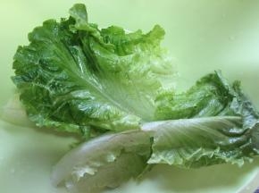 生菜洗干净